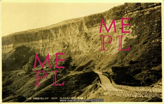 : The Undercliff, Blackgang, Isle of Wight : The Undercliff, Blackgang, Isle of Wight