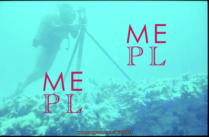: Underwater theodolite off the coast of Malta : Underwater theodolite off the coast of Malta