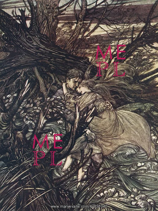 : UNDINE / DE LA MOTTE : UNDINE / DE LA MOTTE
