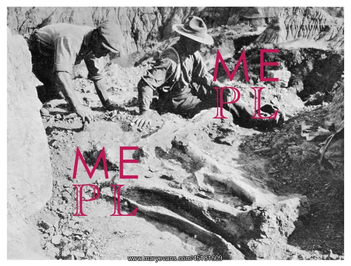 : UNEARTHING A DINOSAUR : UNEARTHING A DINOSAUR