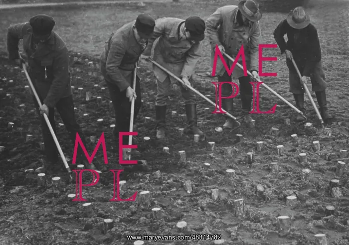 : Unemployed people in a camp of the Voluntary Labor Service : Unemployed people in a camp of the Voluntary Labor Service