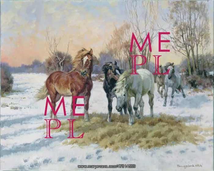 : An Unexpected Treat ' horses in the snow : An Unexpected Treat ' horses in the snow