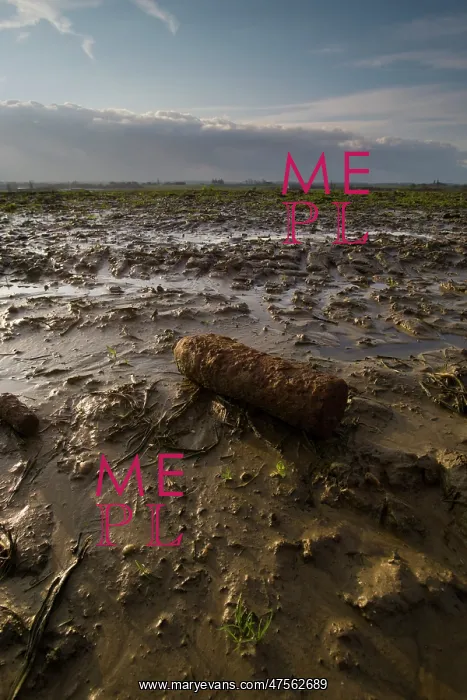 : An unexploded shell lies amidst the mud of Passchendaele : An unexploded shell lies amidst the mud of Passchendaele