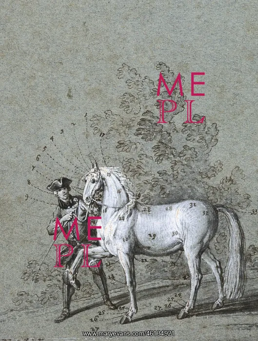  : The unflawed figure of a horse