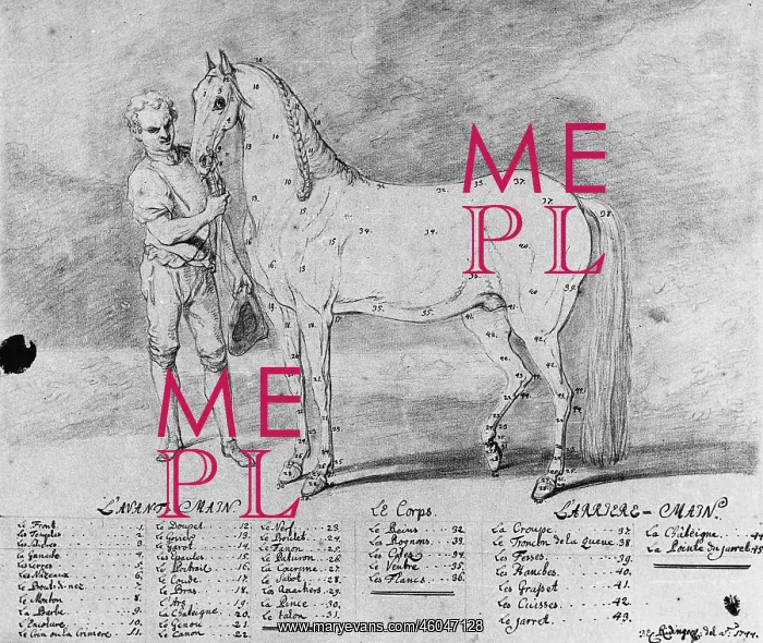  : An unflawed horse