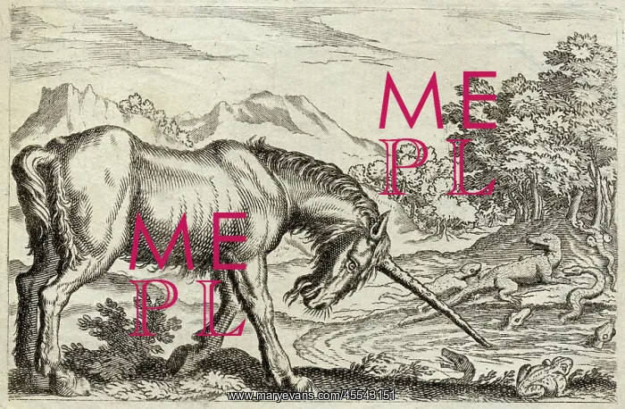 : Unicorn - Reptiles : Unicorn - Reptiles