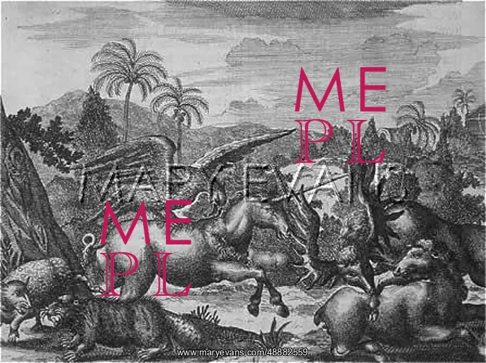  : UNICORN / THEODOR DE BRY