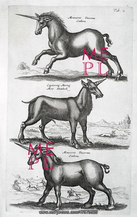 : Three unicorns : Three unicorns