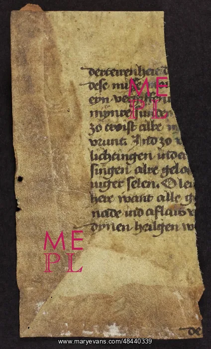 : Unidentified Fragment : Unidentified Fragment