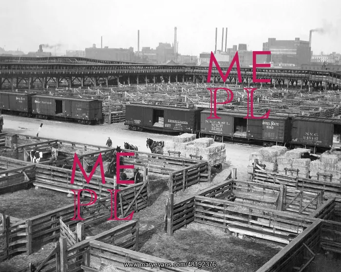 : Union Stockyards in Chicago, 1927 : Union Stockyards in Chicago, 1927