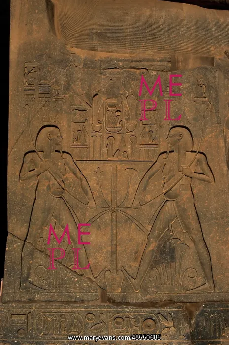 : Union between Upper Egypt and Lower Egypt (Papyrus) : Union between Upper Egypt and Lower Egypt (Papyrus)