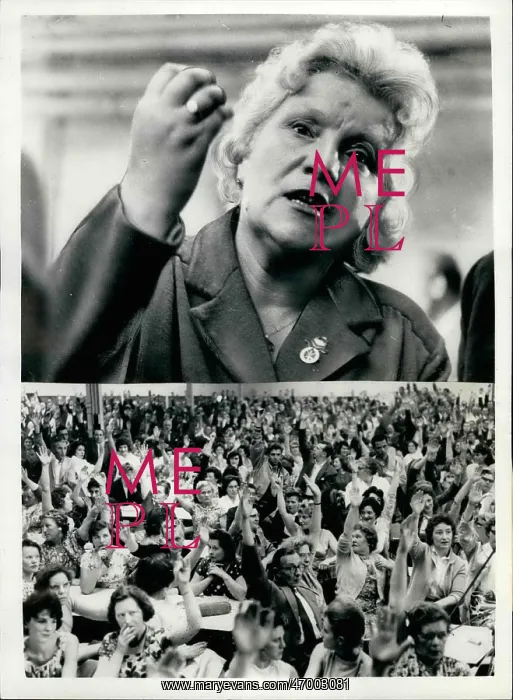 : Unions - Labor Groups : Unions - Labor Groups