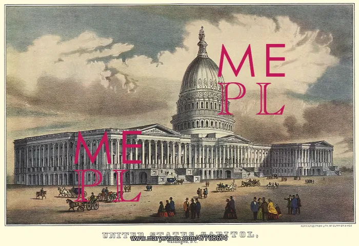 : United States Capitol. Washington D.C : United States Capitol. Washington D.C