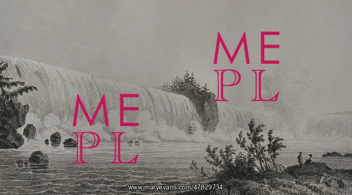 : United States. Niagara Falls - Milbert : United States. Niagara Falls - Milbert