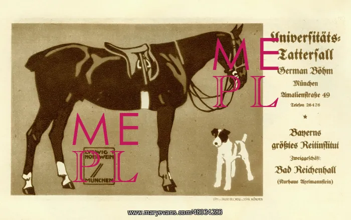 : Universitats Tattersall Poster : Universitats Tattersall Poster