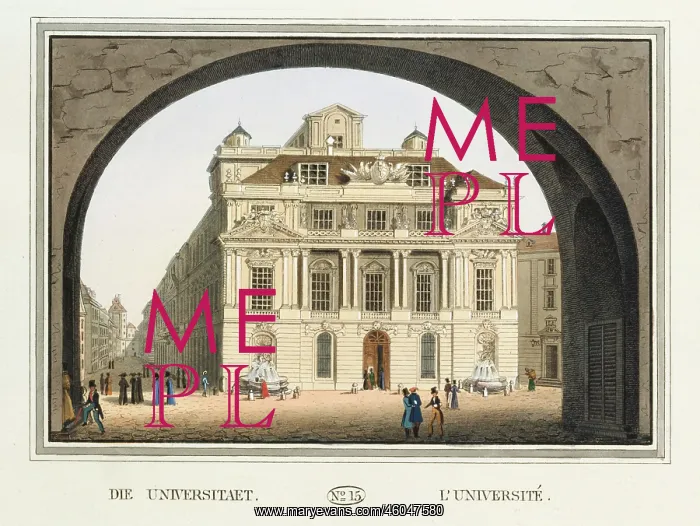 : The University : The University