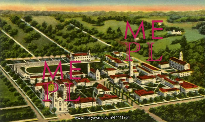 : University of Detroit : University of Detroit