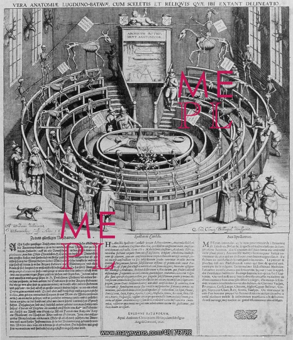 : University of Leiden, 1610 : University of Leiden, 1610
