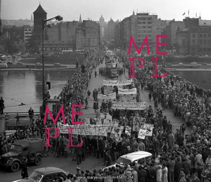 : University students - protesting : University students - protesting