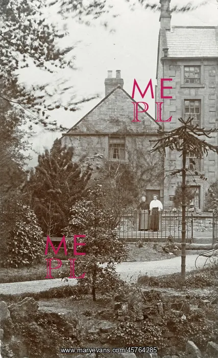 : Unknown British town scene - with Monkey Puzzle tree : Unknown British town scene - with Monkey Puzzle tree