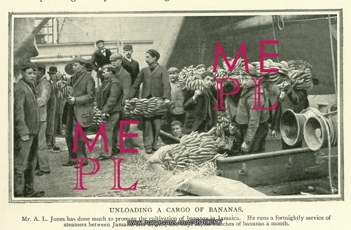  : Unloading a cargo of bananas from Jamaica to Bristol