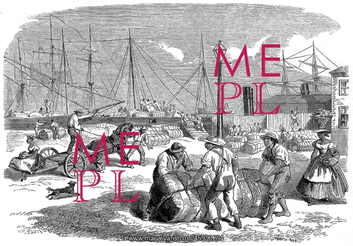 : Unloading Cotton at Nassa, New Providence, 1864 : Unloading Cotton at Nassa, New Providence, 1864