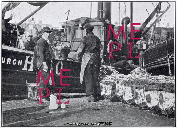 : Unloading Herring in Great Yarmouth 1910 : Unloading Herring in Great Yarmouth 1910