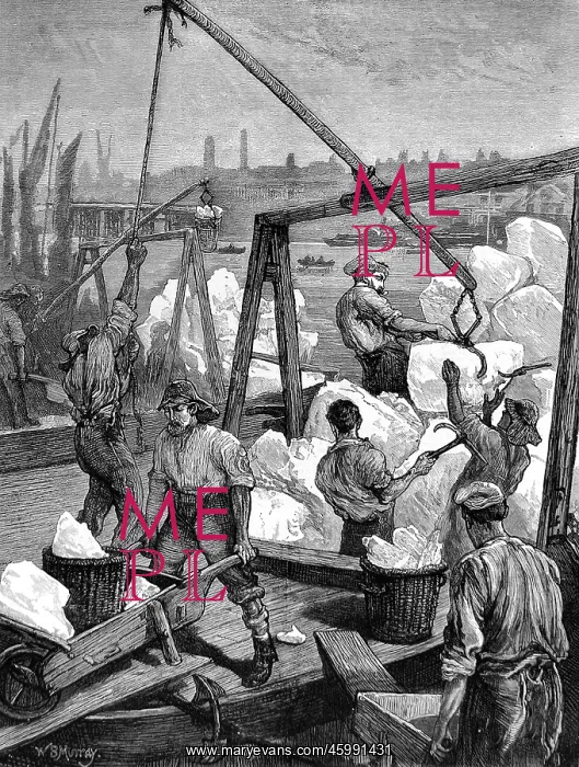 : Unloading Ice at the London Docks 1874 : Unloading Ice at the London Docks 1874