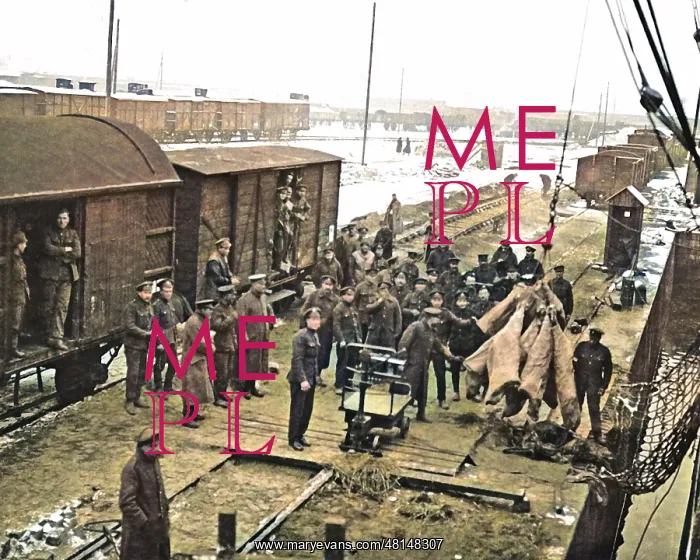 : Unloading meat from ship to train, Western Front, WW1 : Unloading meat from ship to train, Western Front, WW1