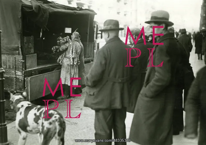 : Unloading meat in the Veteranenstrasse in Berlin, 1929-1932 : Unloading meat in the Veteranenstrasse in Berlin, 1929-1932