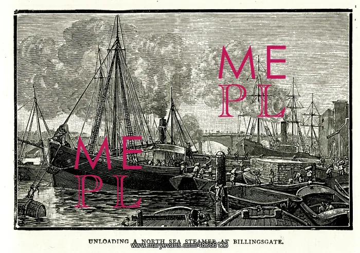 : Unloading a North Sea Steamer at Billingsgate : Unloading a North Sea Steamer at Billingsgate