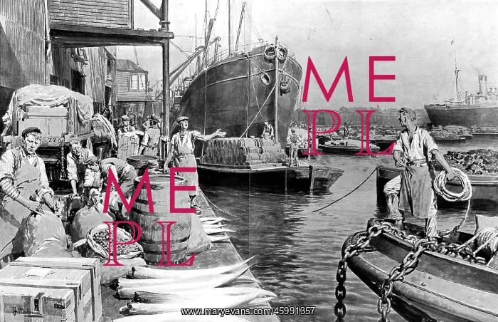 : Unloading Ships at London Docks, 1908 : Unloading Ships at London Docks, 1908
