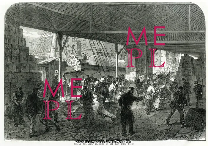 : Unloading tea in docks 1867 : Unloading tea in docks 1867