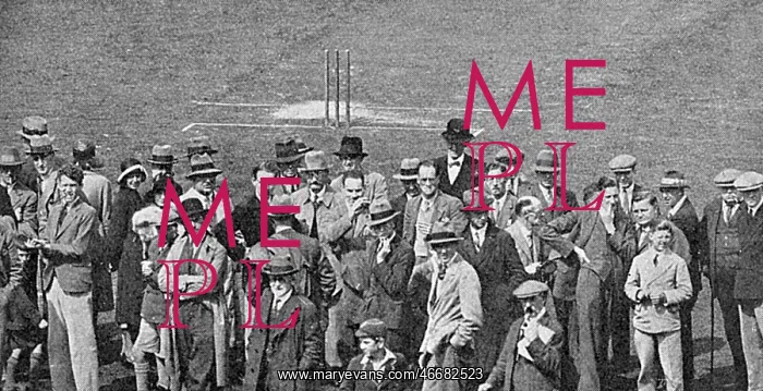 : Unruly Oval cricket crowd : Unruly Oval cricket crowd