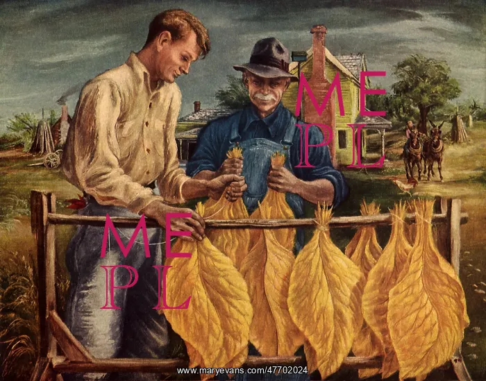  : Unstringing Tobacco