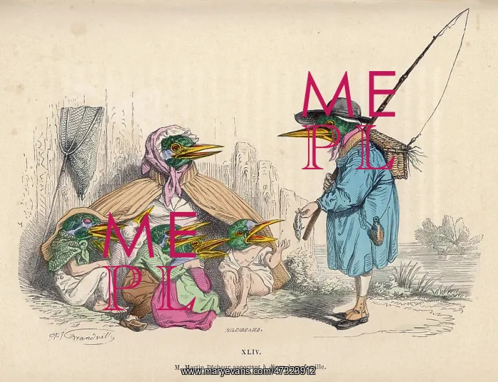: UNSUCCESSFUL FISHERBIRD : UNSUCCESSFUL FISHERBIRD