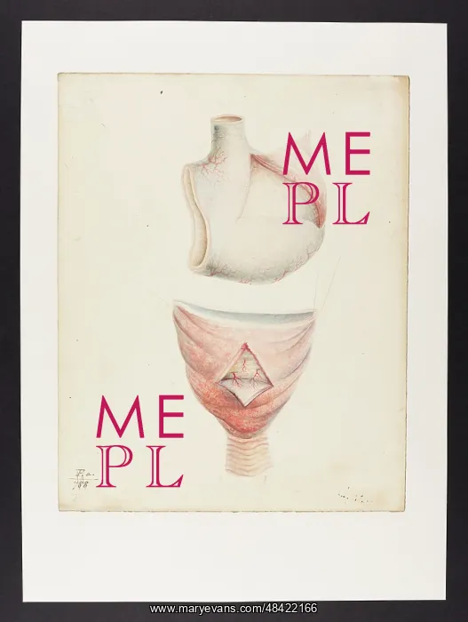 : Untitled. (No caption) (blank on verso - FA788 crossed out) : Untitled. (No caption) (blank on verso - FA788 crossed out)