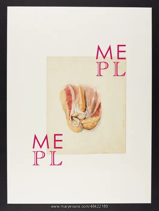 : Untitled (Mr Jenner) : Untitled (Mr Jenner)
