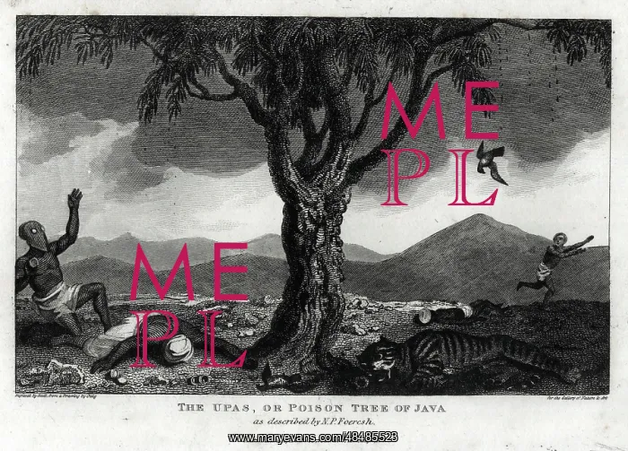 : The Upas or Poison Tree of Java : The Upas or Poison Tree of Java