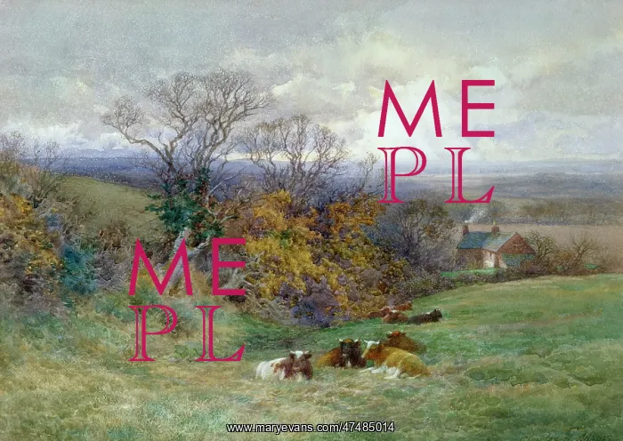: Upland Pastures ' cows in a field : Upland Pastures ' cows in a field