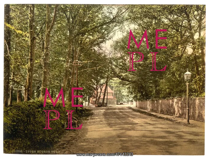 : Upper Bognor Road, Bognor, England : Upper Bognor Road, Bognor, England