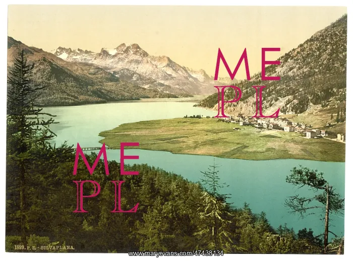  : Upper Engadine, Silvaplana, III. Grisons, Switzerland