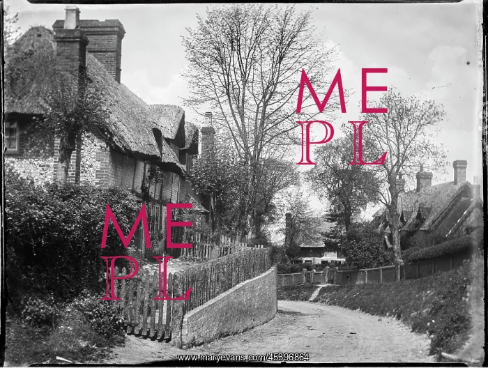 : Upper Icknield Way, Whiteleaf, Princes Risborough : Upper Icknield Way, Whiteleaf, Princes Risborough