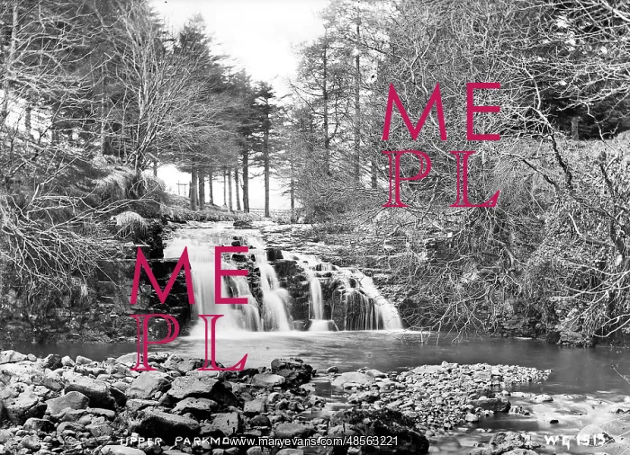 : Upper Parkmore Falls, Glenariff : Upper Parkmore Falls, Glenariff