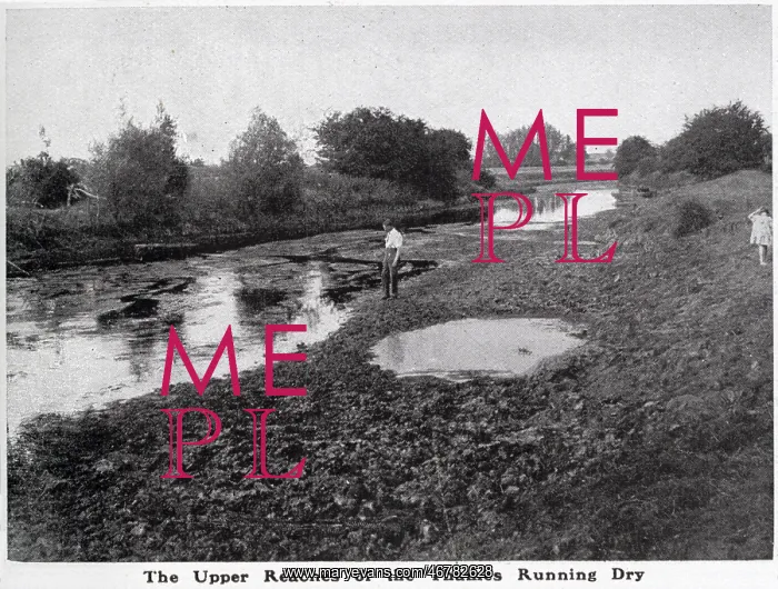 : Upper reaches of the Thames running dry : Upper reaches of the Thames running dry