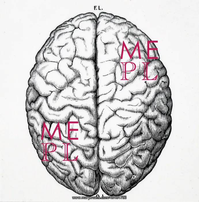  : Upper surface of human brain