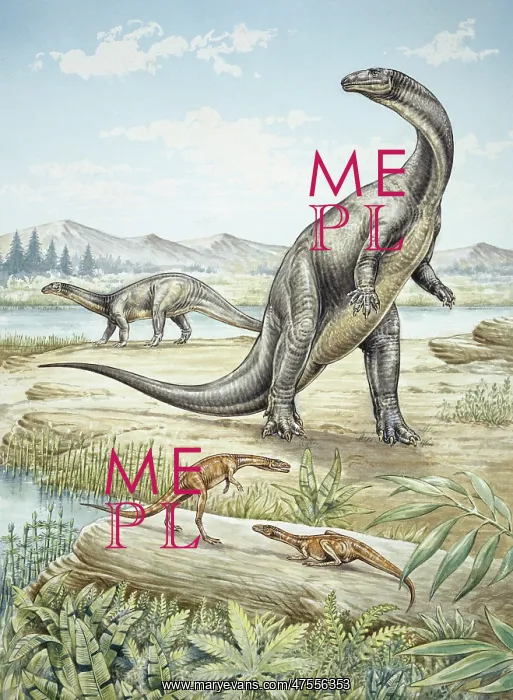 : Upper Triassic dinosaurs discovered in Southern Germany : Upper Triassic dinosaurs discovered in Southern Germany