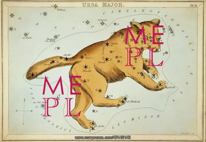 : Ursa Major : Ursa Major