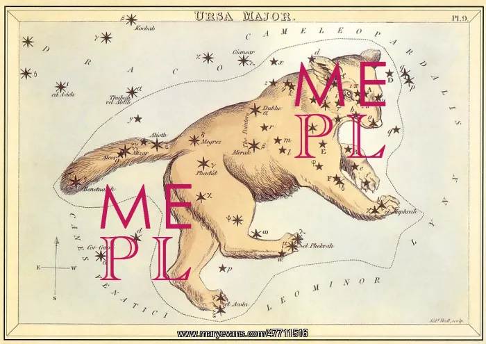  : Ursa Major, Bear