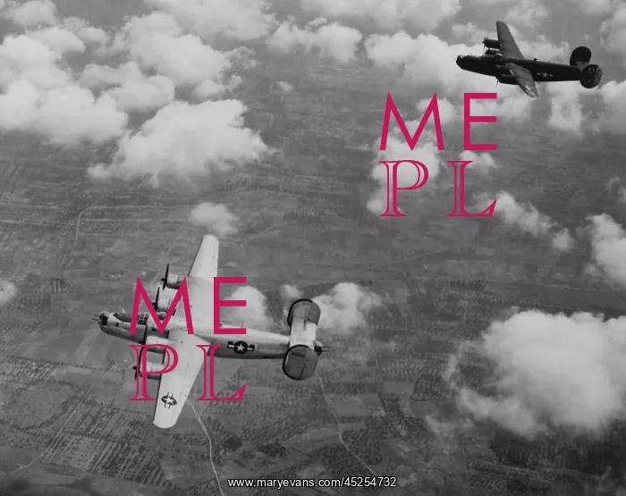 : U.S. Air Force Consolidated B-24 Liberators, medium : U.S. Air Force Consolidated B-24 Liberators, medium
